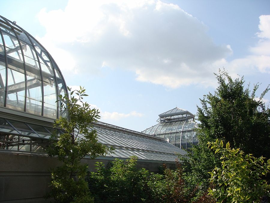 Washington DC [2009 July 04] 042.JPG - Scenes from The United States Botanic Garden